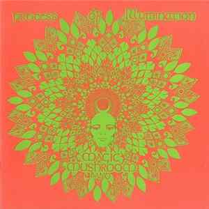 Magic Mushroom Band - Process Of Illumination FLAC