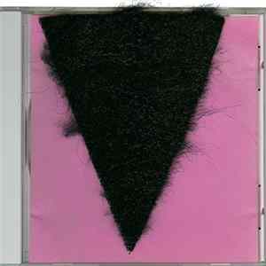 PIL - That What Is Metal FLAC
