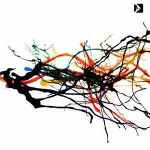 Various - Pathways ep FLAC