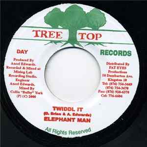 Elephant Man - Twiddl It FLAC