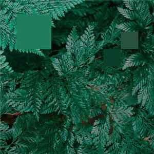 Nebraska - Metaphor To The Floor EP FLAC