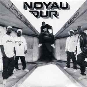 Noyau Dur - On Ne Sera Jamais Pareils / Professionnels FLAC