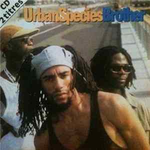 Urban Species - Brother FLAC