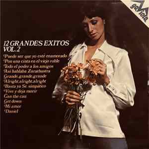 Unknown Artist - 12 Grandes Exitos Vol.2 FLAC
