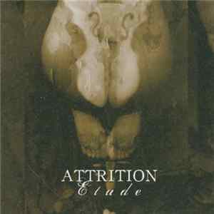 Attrition - Etude FLAC
