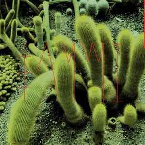 Sanmi - The Hermit FLAC