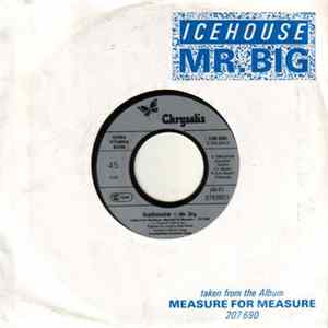 Icehouse - Mr. Big FLAC