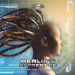 Merlin's Apprentice - Lubrication For The Imagination FLAC