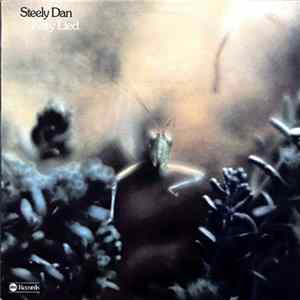 Steely Dan - Katy Lied FLAC