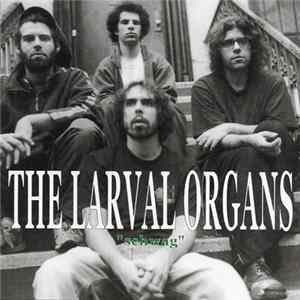 The Larval Organs - "Schwag" FLAC