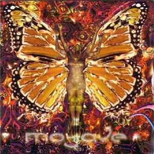 Various - Mojave FLAC