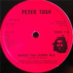 Peter Tosh - Where You Gonna Run / Stop That Train FLAC