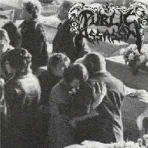 Public Assassin - Public Assassin FLAC