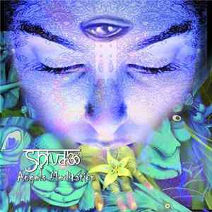 Shiva3 - Angels Meditation FLAC