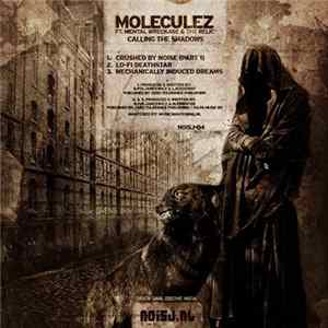Moleculez ft. Mental Wreckage & The Relic - Calling The Shadows FLAC