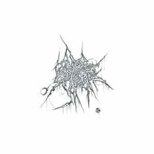 Day Everything Became Nothing, The - Brutal FLAC