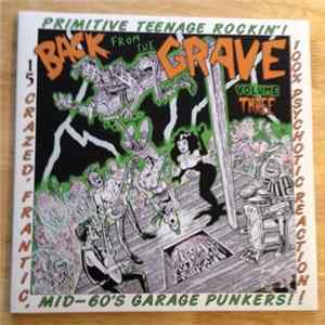 Various - Back From The Grave Volume Three FLAC