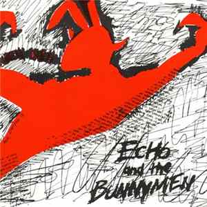 Echo And The Bunnymen - The Pictures On My Wall FLAC