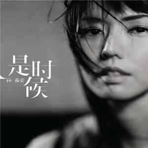孙燕姿 - 是时候 FLAC