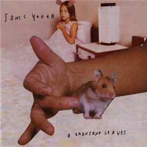 Sonic Youth - A Thousand Leaves FLAC