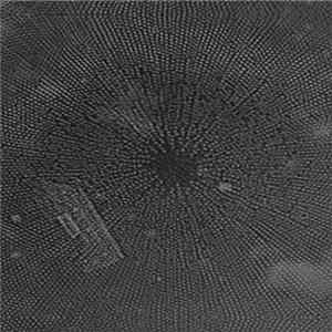 Ekoplekz - ML09: Ekoplekz FLAC