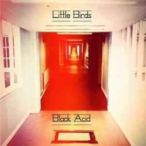 Little Birds - Black Acid EP FLAC