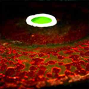 Amon Tobin - At Work FLAC