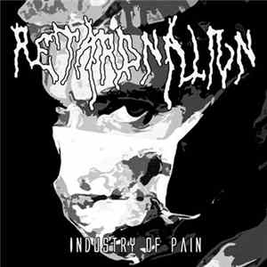 RetardNation - Industry Of Pain FLAC