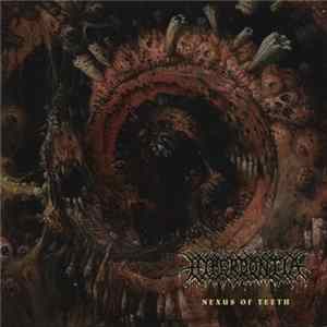 Hyperdontia - Nexus Of Teeth FLAC