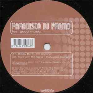 Various - Paradisco - Feel Good Music FLAC