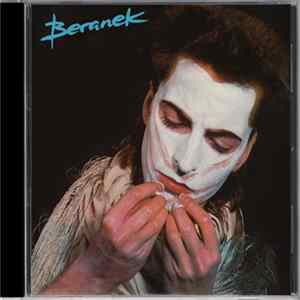Beranek - Daylight In The Dark FLAC