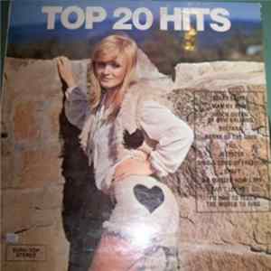 Unknown Artist - Top 20 Hits FLAC