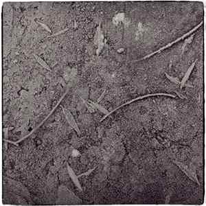 Nocturnal Mayhem - NM FLAC