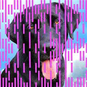 Bitches - Buster EP FLAC