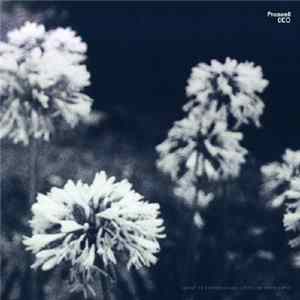 Proswell - 0EO FLAC