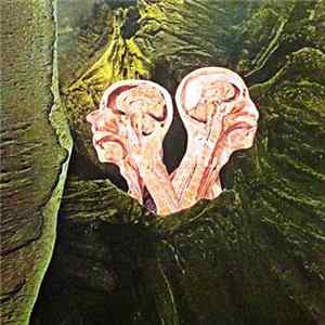 Arµ-2 / EeMu - Twice FLAC