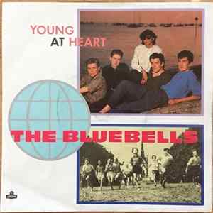The Bluebells - Young At Heart FLAC