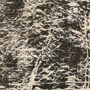 Spitting Falcons - White Mist FLAC