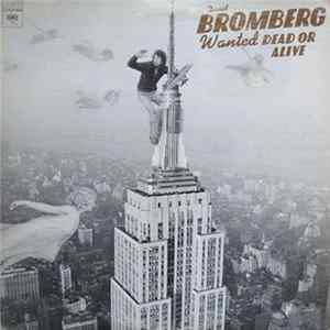 David Bromberg - Wanted Dead Or Alive FLAC