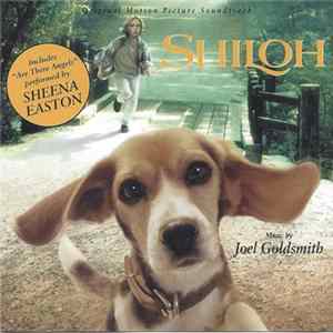 Joel Goldsmith - Shiloh FLAC