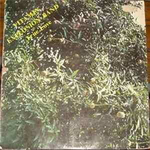 Vitamin Explosion Band - True Love FLAC