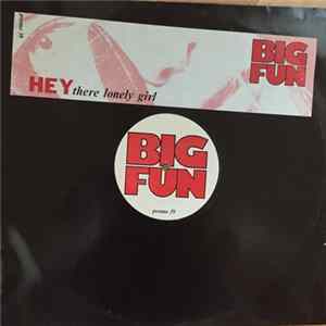Big Fun - Hey There Lonely Girl FLAC