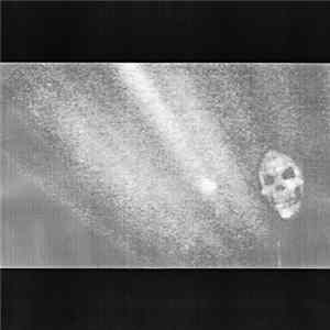 Sealings - I'm a Bastard FLAC