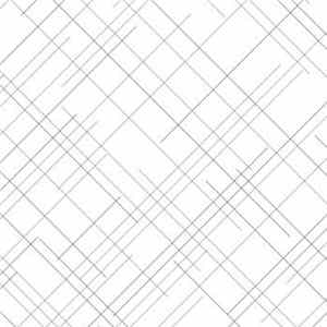 NX1 - NX1_01 FLAC
