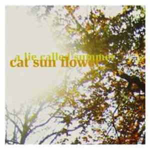 Cat Sun Flower - A Lie Called Summer FLAC