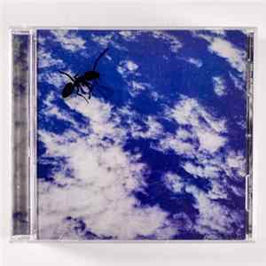 The Witches - On Parade FLAC