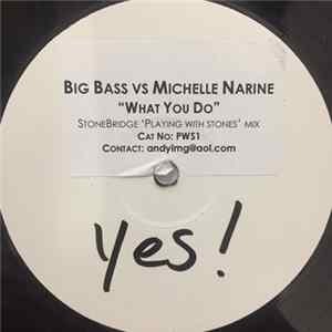 Big Bass vs Michelle Narine - What You Do FLAC