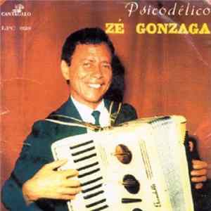 Zé Gonzaga - Psicodélico FLAC