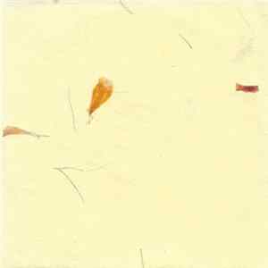 Ennio Mazzon - Dimenticanza FLAC