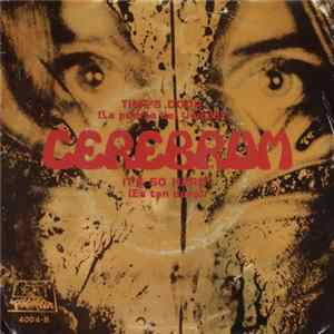 Cerebrum - Time's Door / It's So Hard FLAC